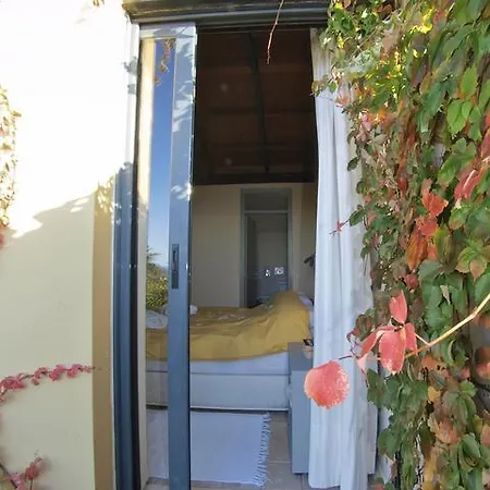 Lemon Tree Villas